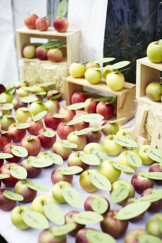 65 Budget Savvy Apples Wedding Ideas For Fall Weddings Page 2 Hi