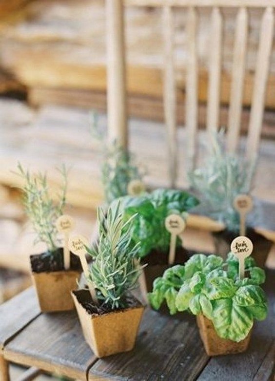 60 Unique Ways To Use Potted Plants In Your Wedding Page 6 Of 12 Hi Miss Puff 9896