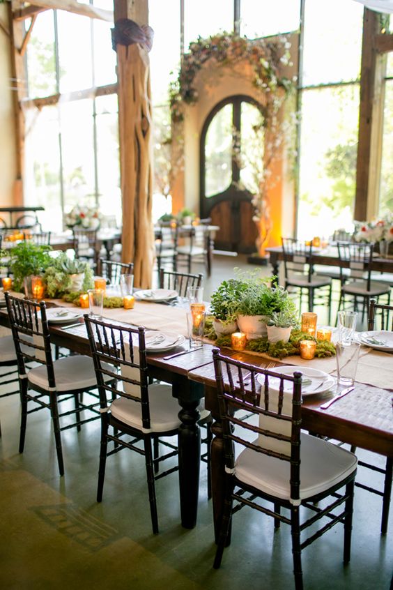 Potted plant wedding centerpieces information