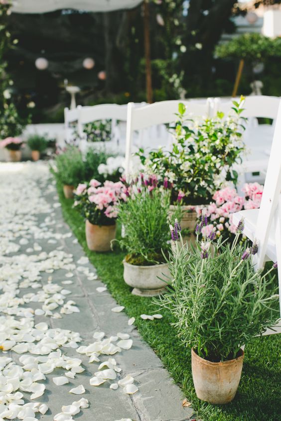 60 Unique Ways to Use Potted Plants In Your Wedding – Page 2 – Hi Miss Puff