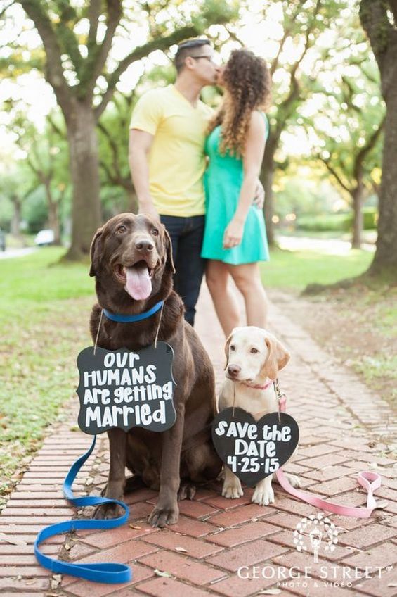 50 Fall Save the Date & Engagement Photo Ideas – Page 2 – Hi Miss Puff