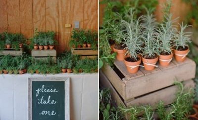 60 Unique Ways To Use Potted Plants In Your Wedding Hi Miss Puff