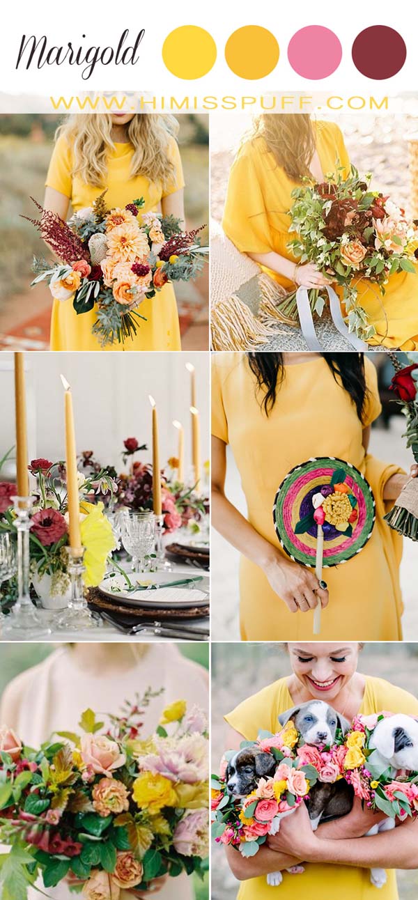 Top 12 Golden Marigold Wedding Color Palettes Hi Miss Puff