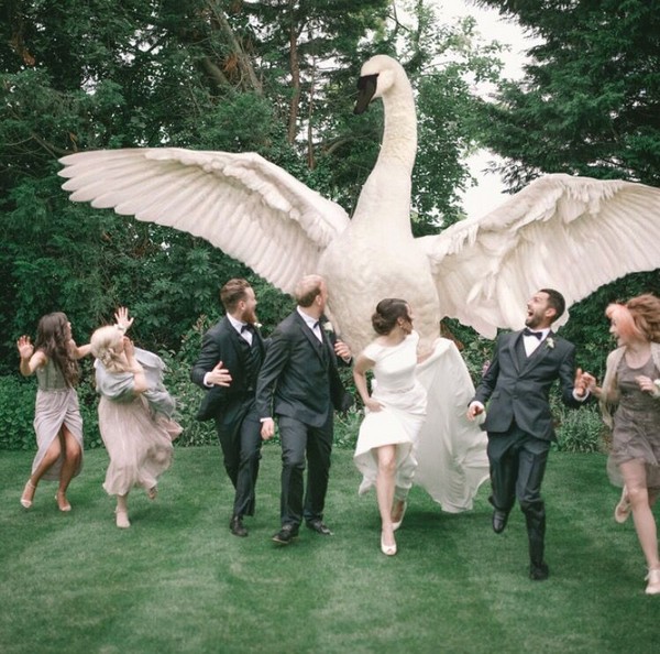55 Creative Wedding Entourage Photo Ideas - 500px
