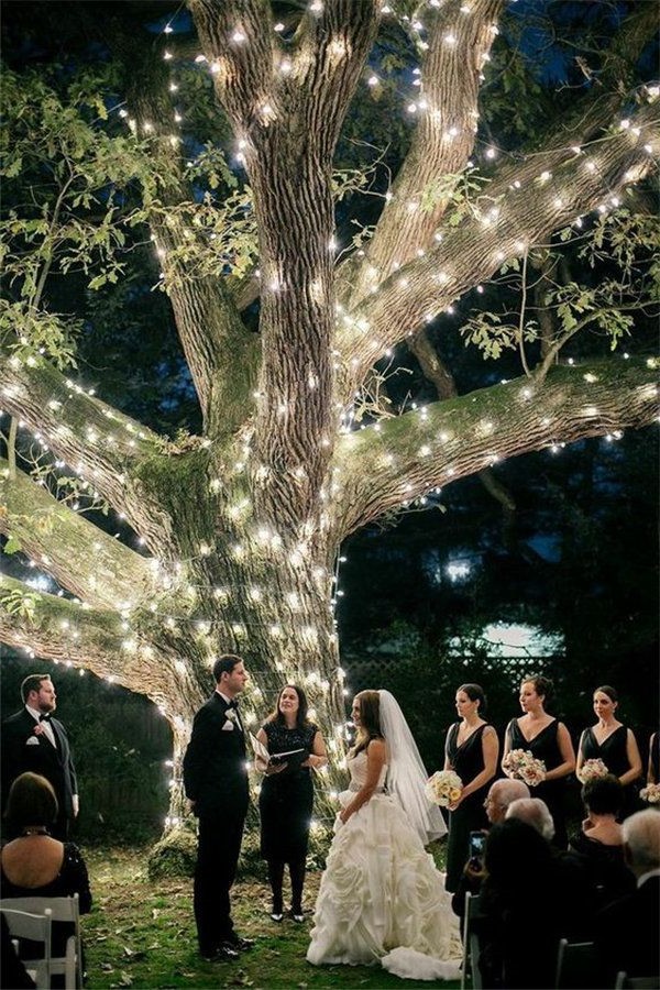 20 Budget Friendly Tree Wedding Backdrops and Arches for