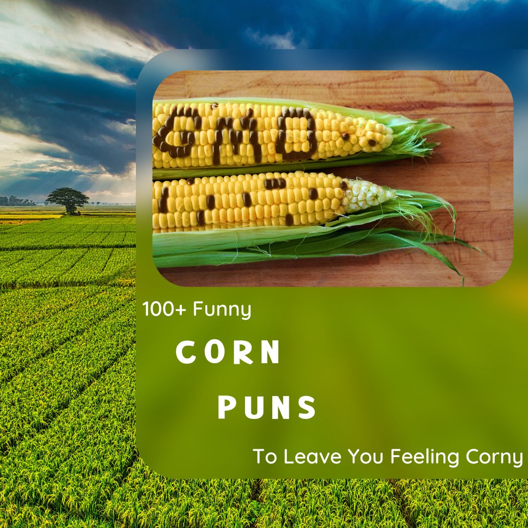 ️ 100 Funny Corn Puns To Leave You Feeling Corny Hmp 9072