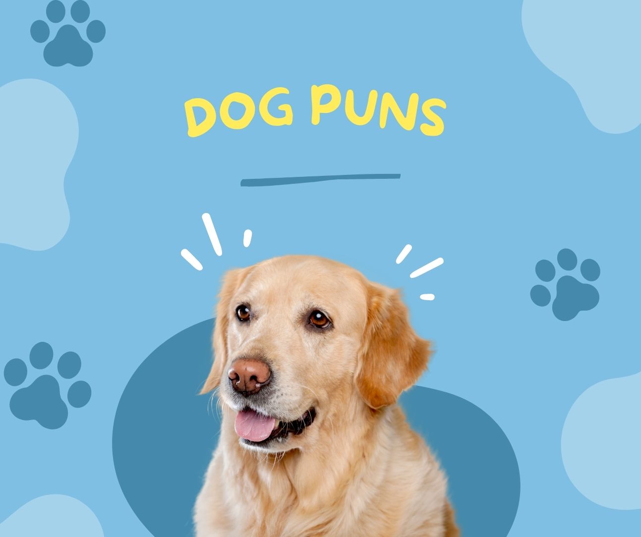129 Hilarious Dog Puns That Will Make You Howl With Laughter