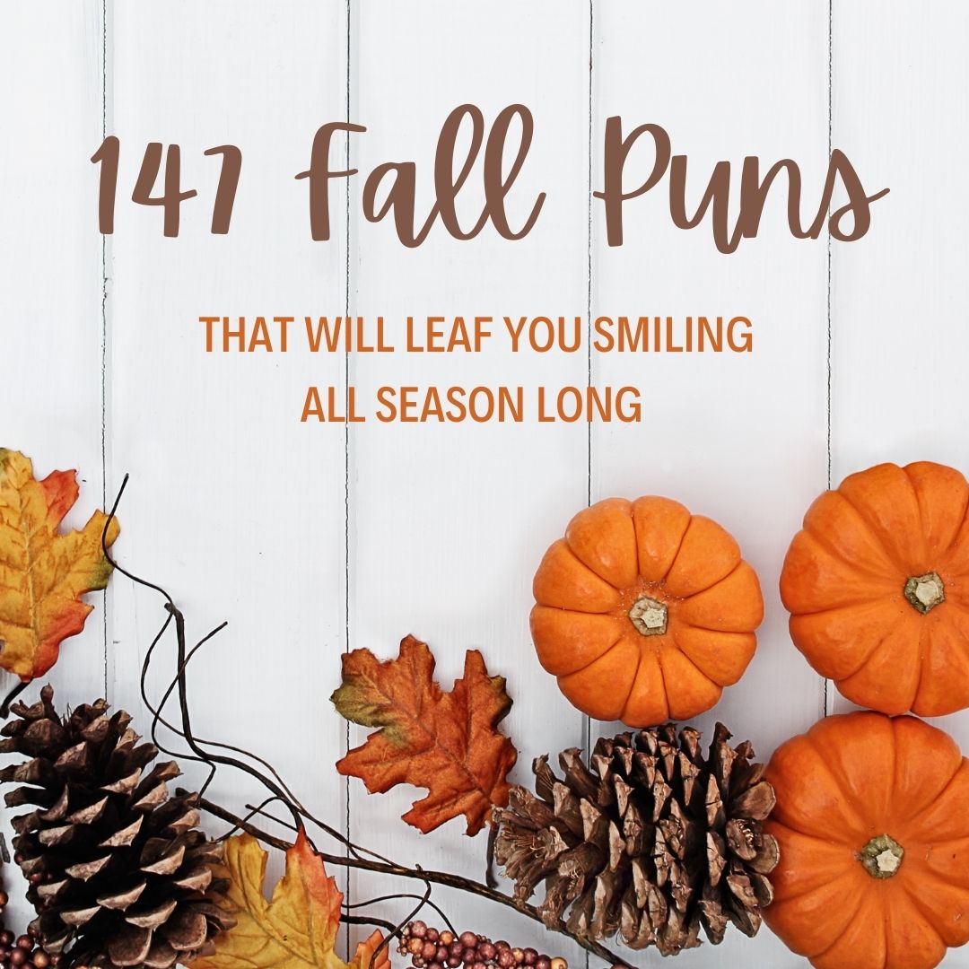 ️ 147 Fall Puns That Will Leaf You Smiling All Season Long