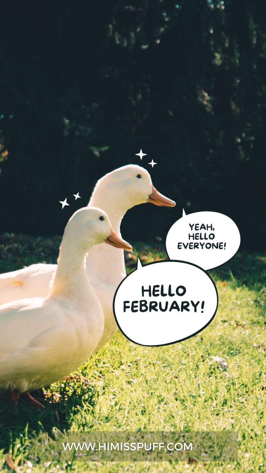 Hilarious Duck Puns That Will Quack You Up Hmp